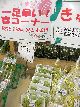 春の息吹が満載です♪