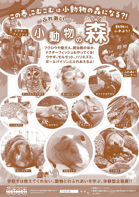 開催中止のお知らせ 小動物たちをなでなでしに来て 年3月14日 31日 ふれあい 小動物の森 を 福島市のこむこむで開催します ふくしまニュースweb 02 14 金 07 30 ふくしまニュースリリース 開催中止のお知らせ 小動物たちをなでなでしに来て 年3月14日 31日 ふれあい 小動物の森 を 福島市のこむこむで開催します ふくしまニュースweb 02 14 金 07 30 ふくしまニュースリリース