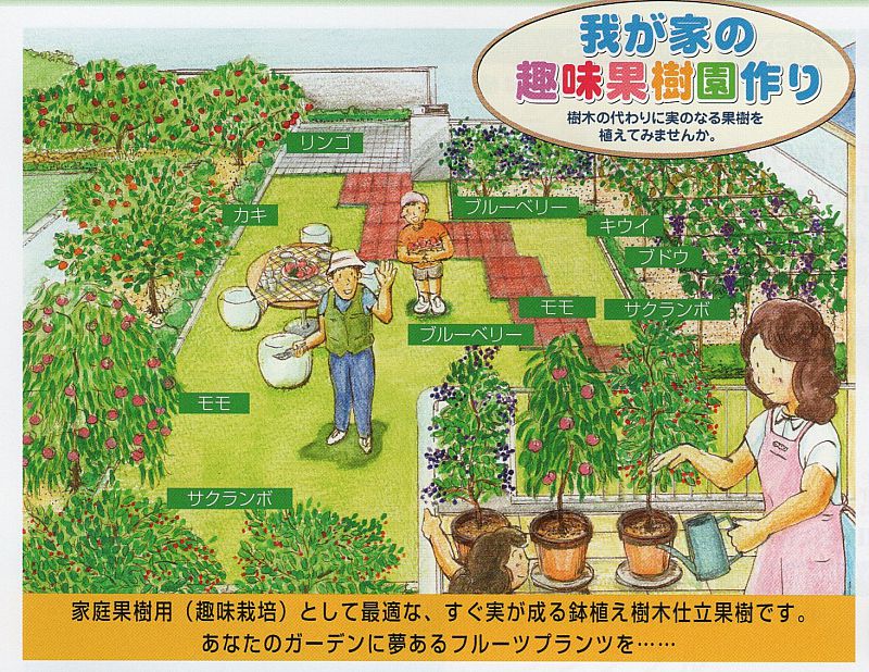 庭に実のなる果樹を植えてみませんか 福島市の 福島天香園 ふくしまてんこうえん では 果樹の苗木を販売中です ふくしまニュースweb 03 31 火 07 30 ふくしまニュースリリース
