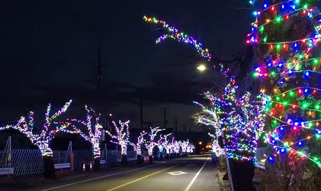 夜の森の桜並木が 鮮やかにライトアップ 福島県富岡町でイルミネーション Yonomoriまち灯り 21 1 31 を開催中です ふくしまニュースweb 12 09 水 07 30 ふくしまニュースリリース 夜の森の桜並木が 鮮やかにライトアップ 福島県富岡町でイルミネーション Yonomoriまち灯り 21 1 31 を開催中です ふくしまニュースweb 12 09 水 07 30 ふくしまニュースリリース
