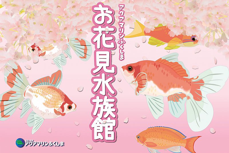3月日 4月4日 アクアマリンふくしま お花見水族館 を開催します 水族館で春を満喫 美しい魚たちや春の花々に囲まれた空間が楽しめます ふくしまニュースweb 21 03 12 金 07 30 ふくしまニュースリリース 3月日 4月4日 アクアマリンふくしま お花見水族館 を開催します 水族館で春を満喫 美しい魚たちや春の花々に囲まれた空間が楽しめます ふくしまニュースweb 21 03 12 金 07 30 ふくしまニュースリリース