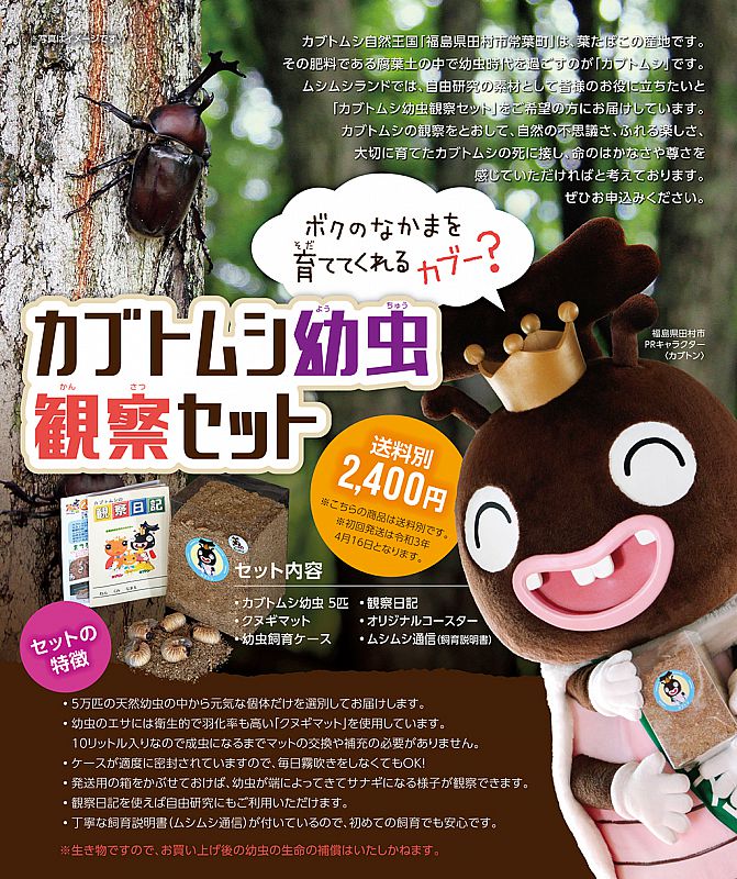 お子さんの自由研究にぴったり!田村市常葉振興公社で「カブトムシ幼虫 ...