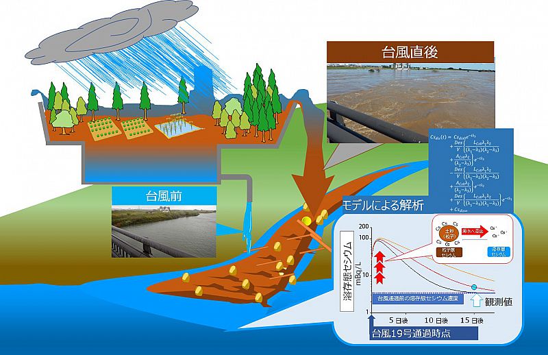 令和元年の台風19号通過後の 阿武隈川河口沿岸域の溶存態放射性セシウム濃度変化をモデル解析 福島大学 21 08 05 木 08 54 ふくしまニュースリリース