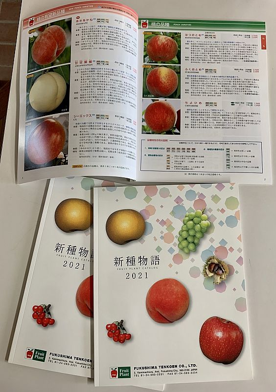 福島天香園は 人気の果樹苗木が掲載された最新版カタログ 21度版 を配布中です 今季の苗木販売は11月日 土 よりスタート ご予約も受付中です ふくしまニュースweb 21 10 31 日 07 30 ふくしまニュースリリース 福島天香園は 人気の果樹苗木が掲載された最新版カタログ 21度版 を配布中です 今季の苗木販売は11月日 土 よりスタート ご予約も受付中です ふくしまニュースweb 21 10 31 日 07 30 ふくしまニュースリリース