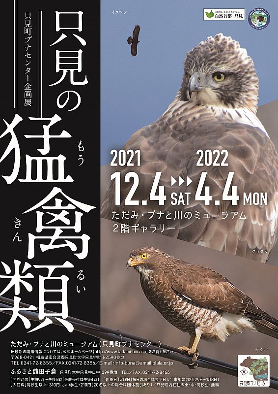12月4日から 只見町ブナセンターで 企画展 只見の猛禽類 を開催します 只見町の ワシタカ類 の生態や 生息環境との関係性などをご紹介します ふくしまニュースweb 21 11 26 金 07 30 ふくしまニュースリリース