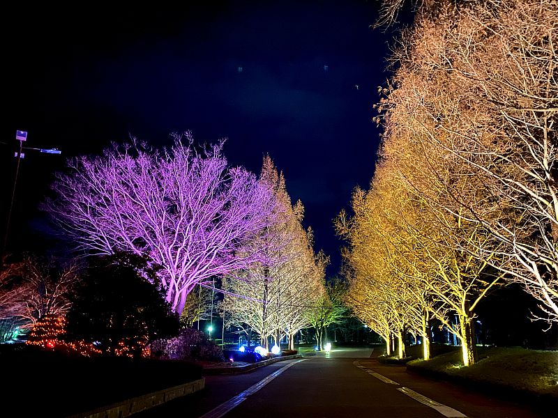 12月10日 1月10日 福島市のあづま総合運動公園でイルミネーション 光のtreeページェント を開催します 光る動物のオブジェも登場 ふくしまニュースweb 21 12 07 火 07 30 ふくしまニュースリリース