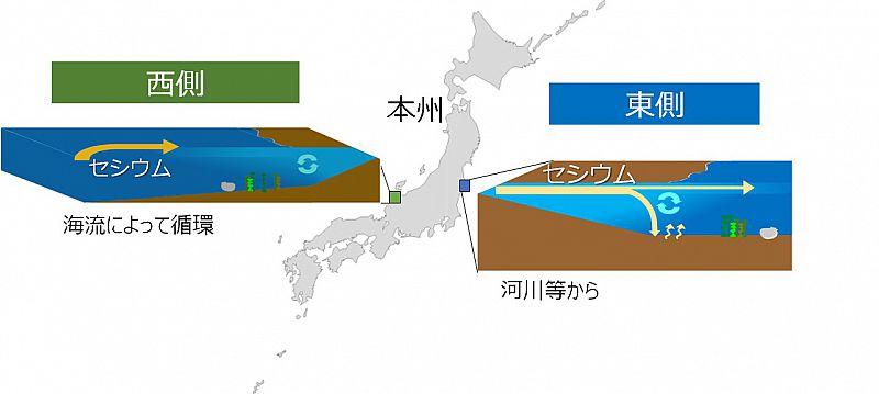 日本沿岸域の放射性セシウムの動きから福島沿岸域の現状が明らかに 福島大学 22 02 02 水 15 48 ふくしまニュースリリース