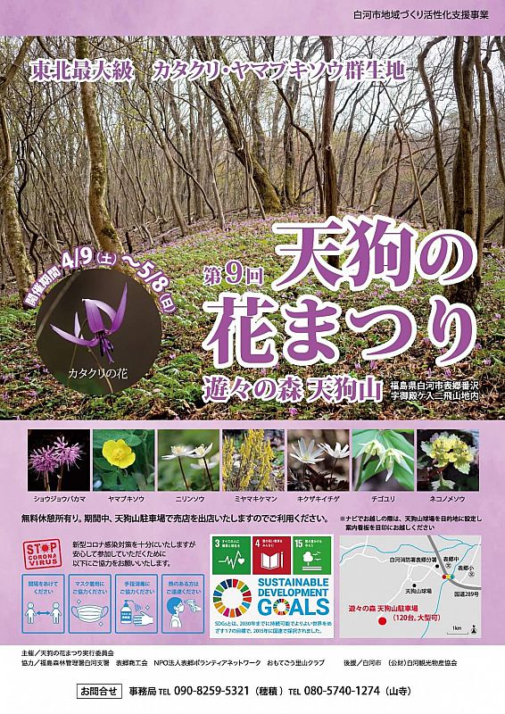 4月9日 5月8日 白河市表郷の天狗山で 第9回 天狗の花まつり を開催します 東北最大級のカタクリ ヤマブキソウの群生地へぜひお越しください ふくしまニュースweb 22 03 22 火 07 30 ふくしまニュースリリース