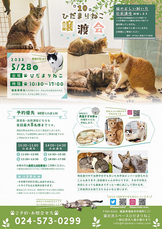 5月28日「第10回ひだまりねこ譲渡会」開催 福島市で猫の里親さまを募集