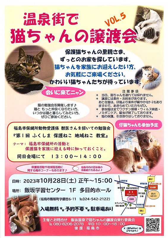 温泉街で猫ちゃんの譲渡会vol.5 福島市の飯坂学習センターで