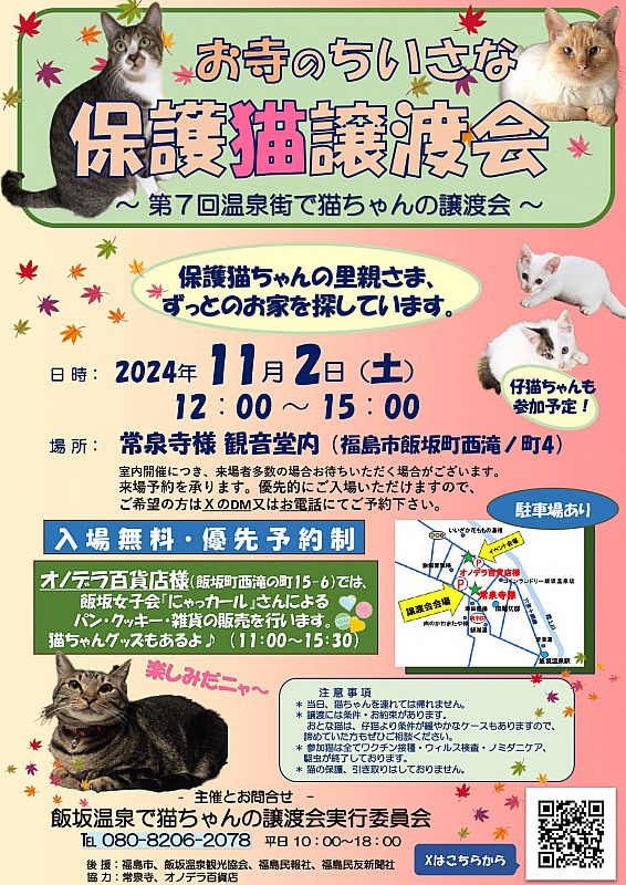 11月2日 飯坂温泉で「お寺のちいさな保護猫譲渡会」開催 保護猫の里親  