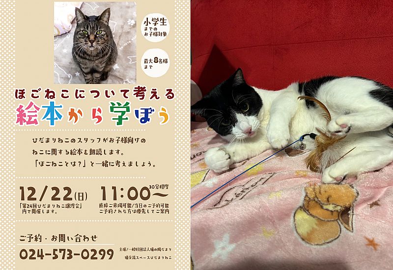 ☆お祝い☆豪華3Dキャットリース【ご確認】